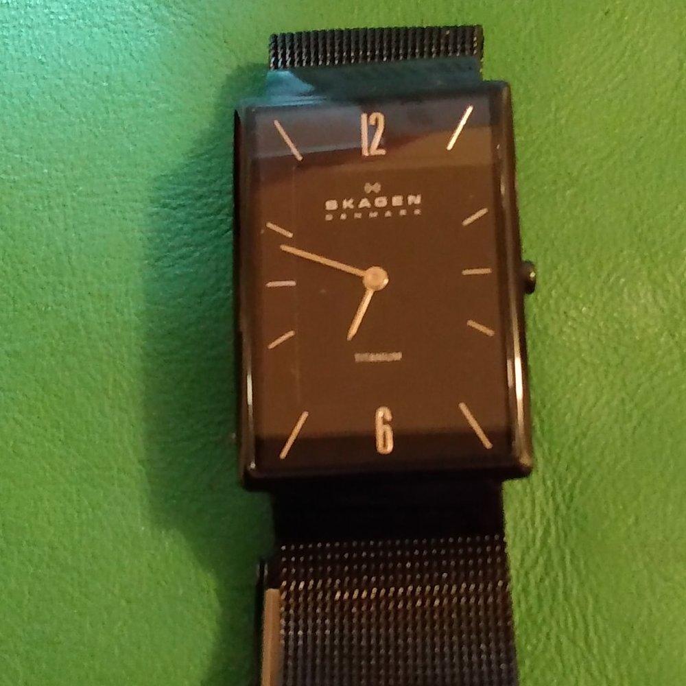 Lovely Skagen Lady's Watch! Titanium!